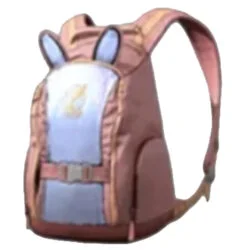 pubg skin Bunny Backpack Level 2