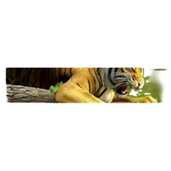 pubg skin Tiger ID Card