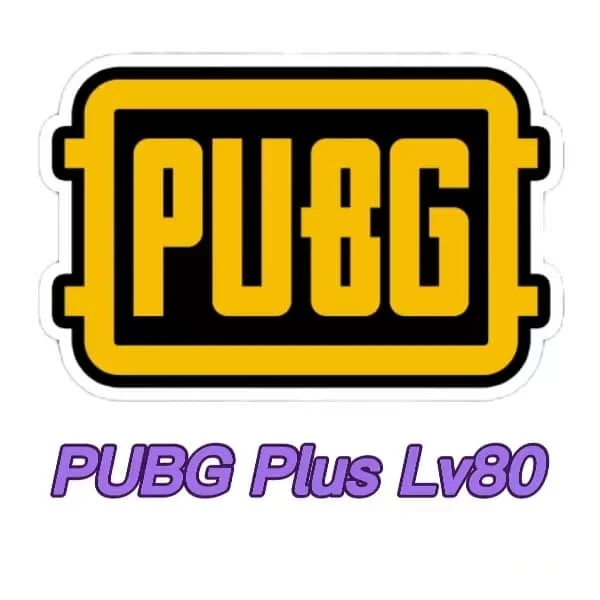 PUBG Account LV80 Empty