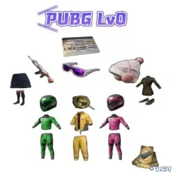 PUBG Account LV0 With Skins 2
